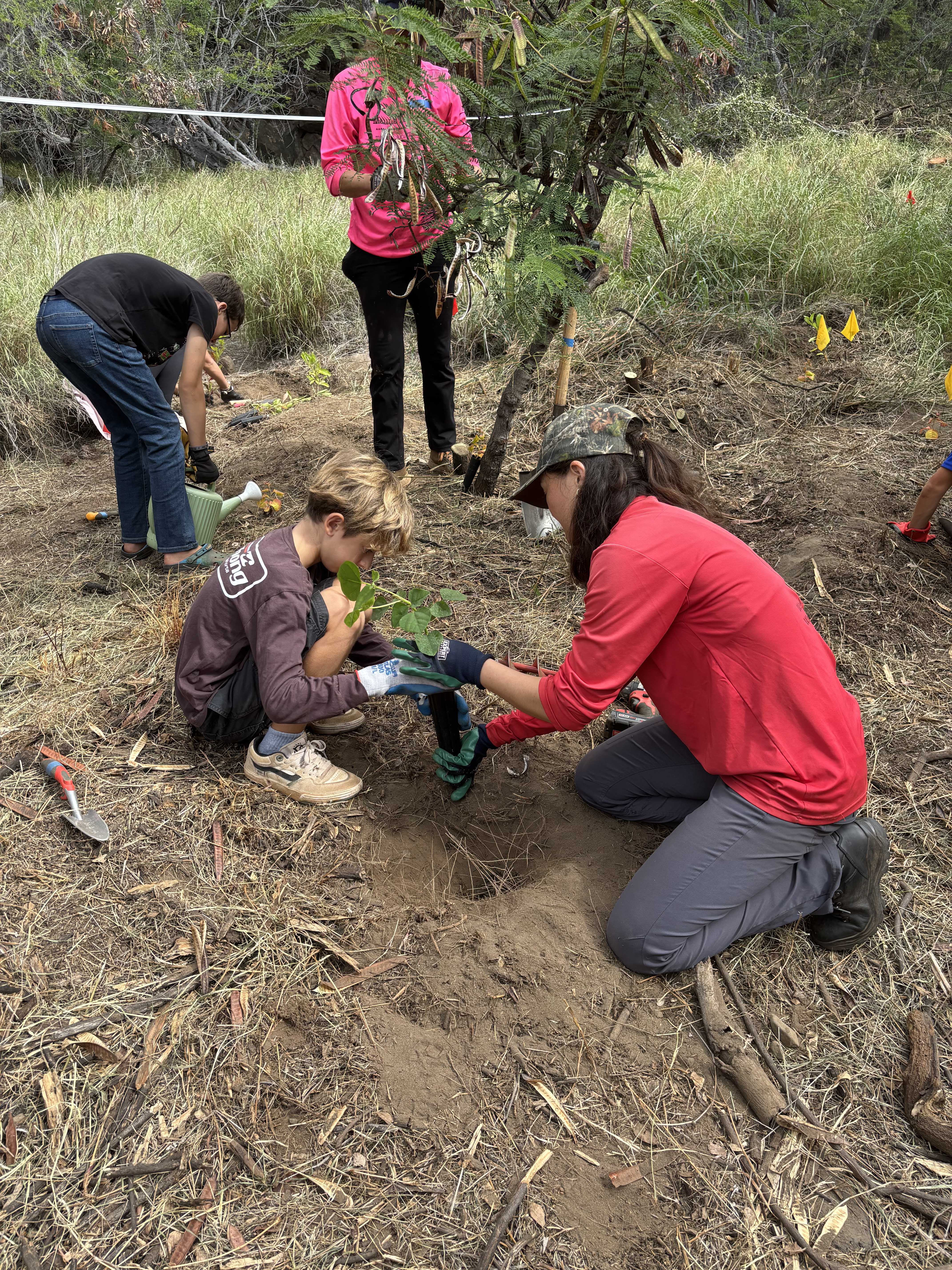 MKWPʻs Outreach & Education Associate, Kayla Takakura, assists a 5th grade student from Maui Preparatory Academy with planting a wiliwili tree.
