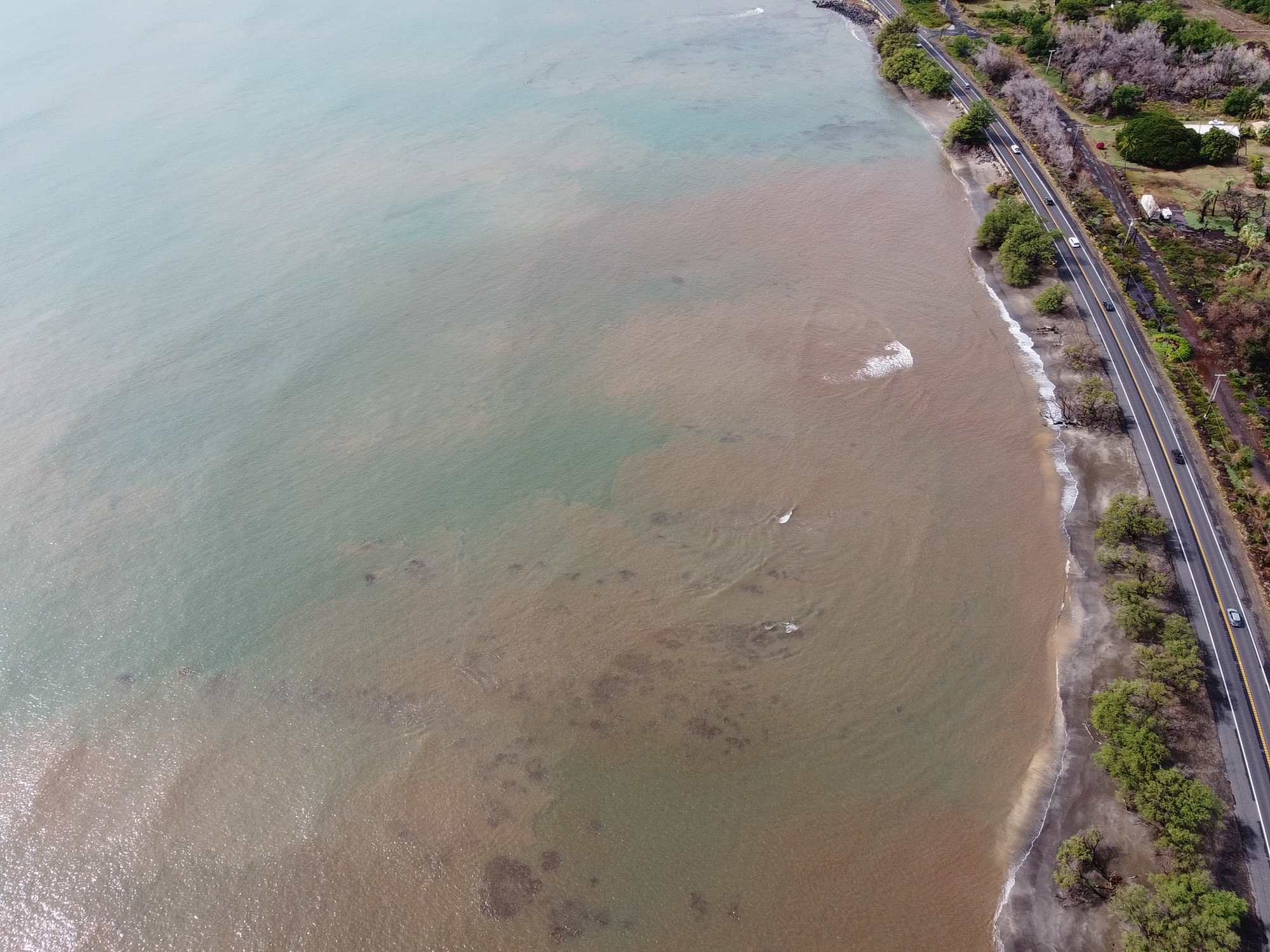 Aerial view of a brown water event on a coastline. 