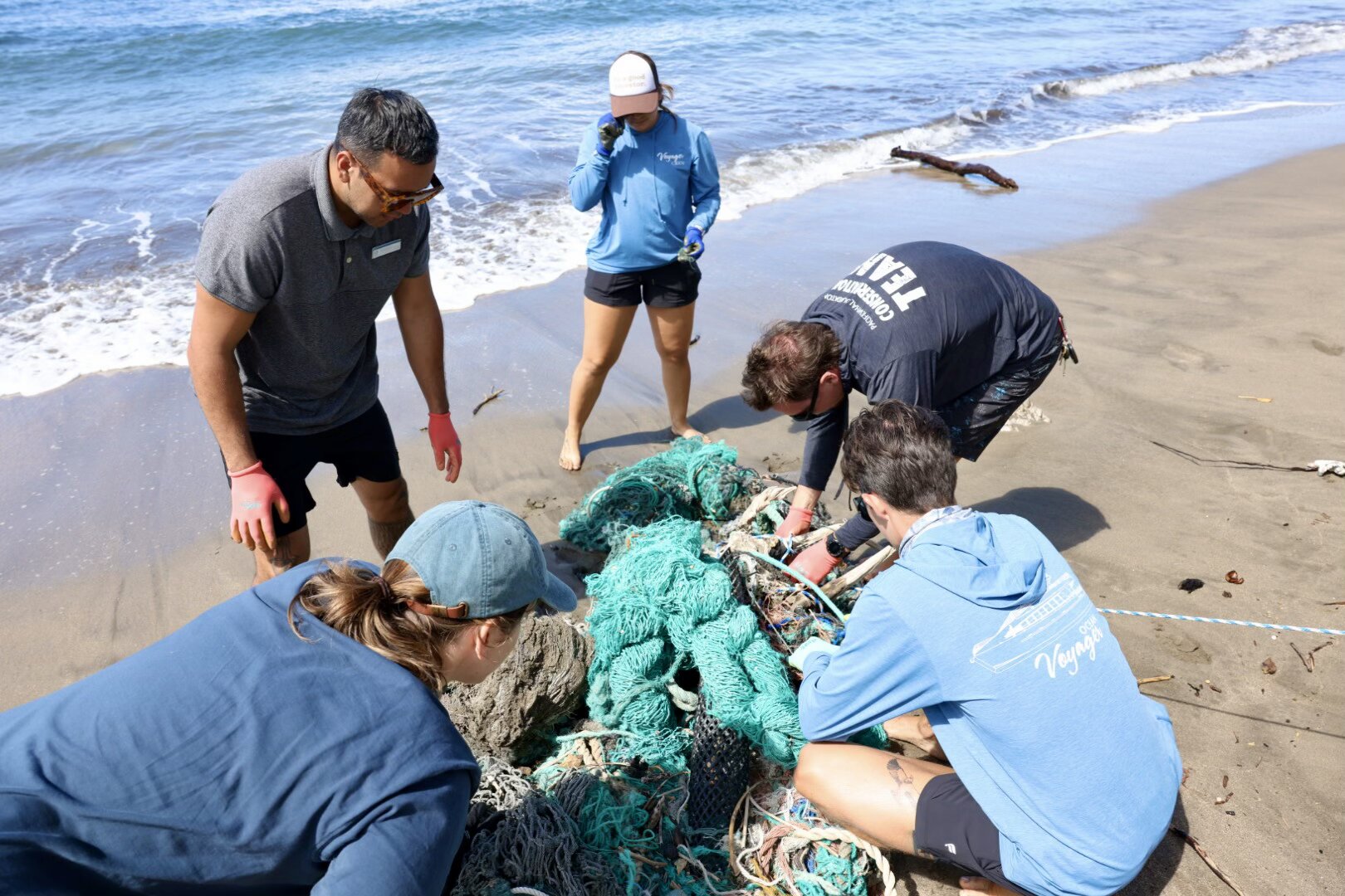 A group of volunteers working together to remove a large conglomerate of commercial fishing net from a West Maui beach. 