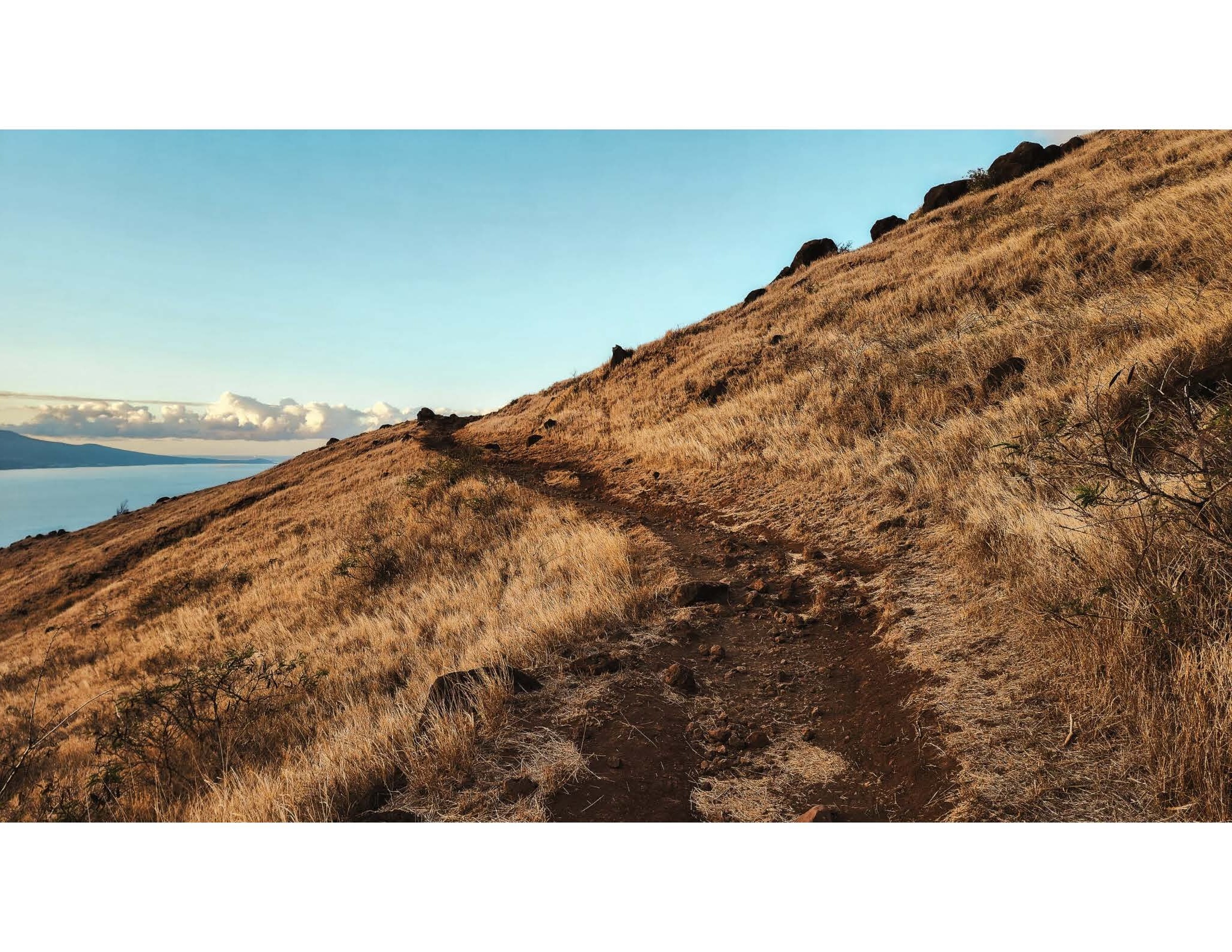 A dirt trail on the side of a hill. 