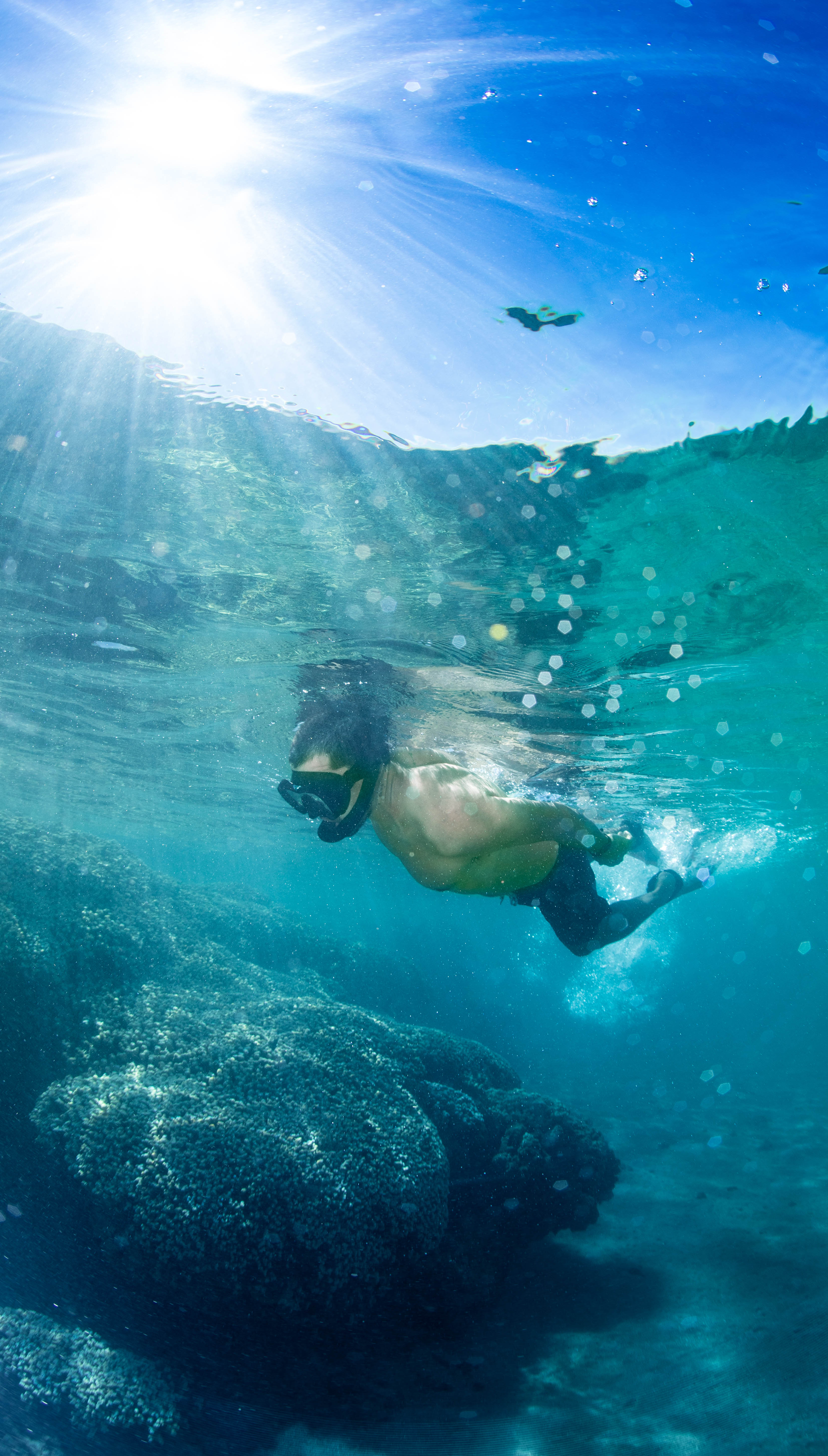 Many people enjoy snorkeling the Olowalu Reef. 