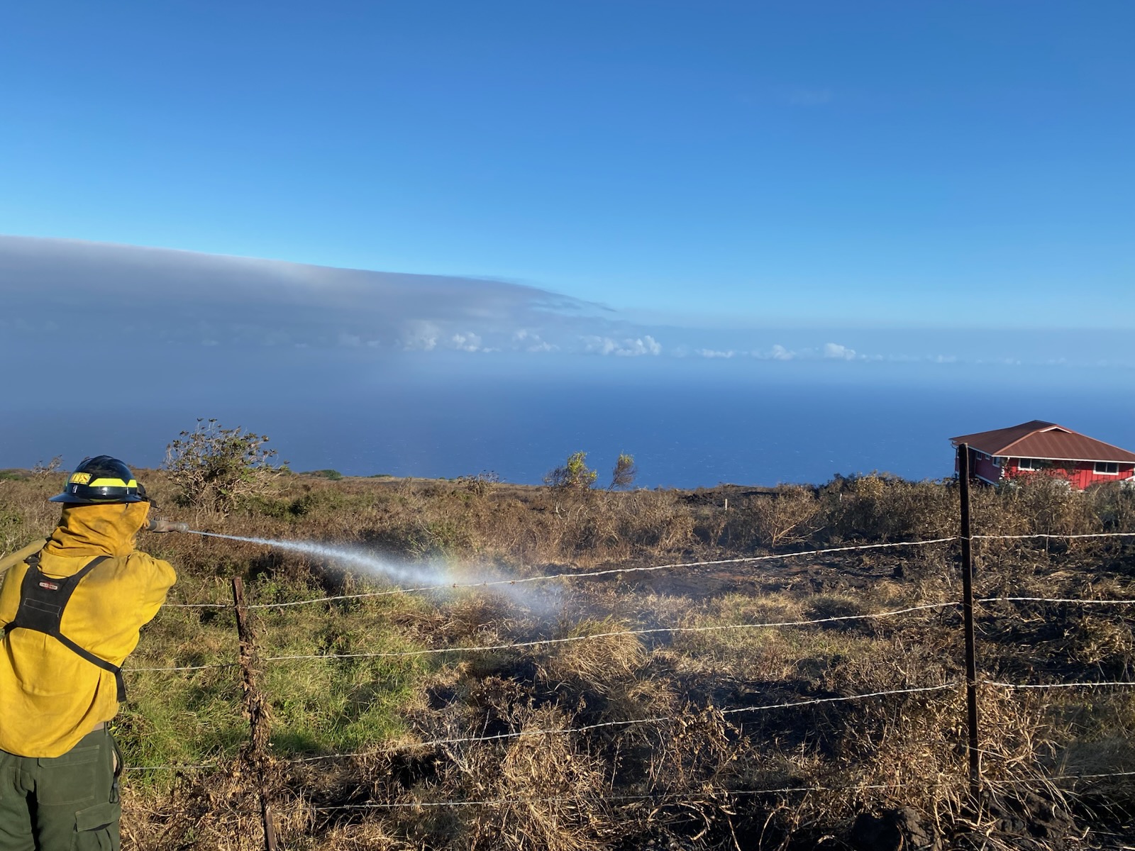 Wildland fires threaten homes, forests and ultimately reefs.